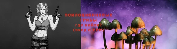 PSILOCYBIN Баксан