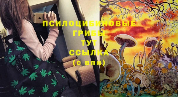 PSILOCYBIN Баксан